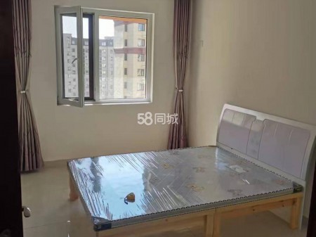 椅子张罗庄回迁小区 3室1厅2卫128平 800元一月